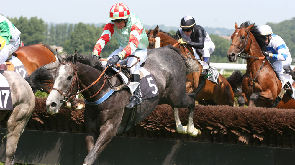 Racehorses in human food chain, blood rules and top hats