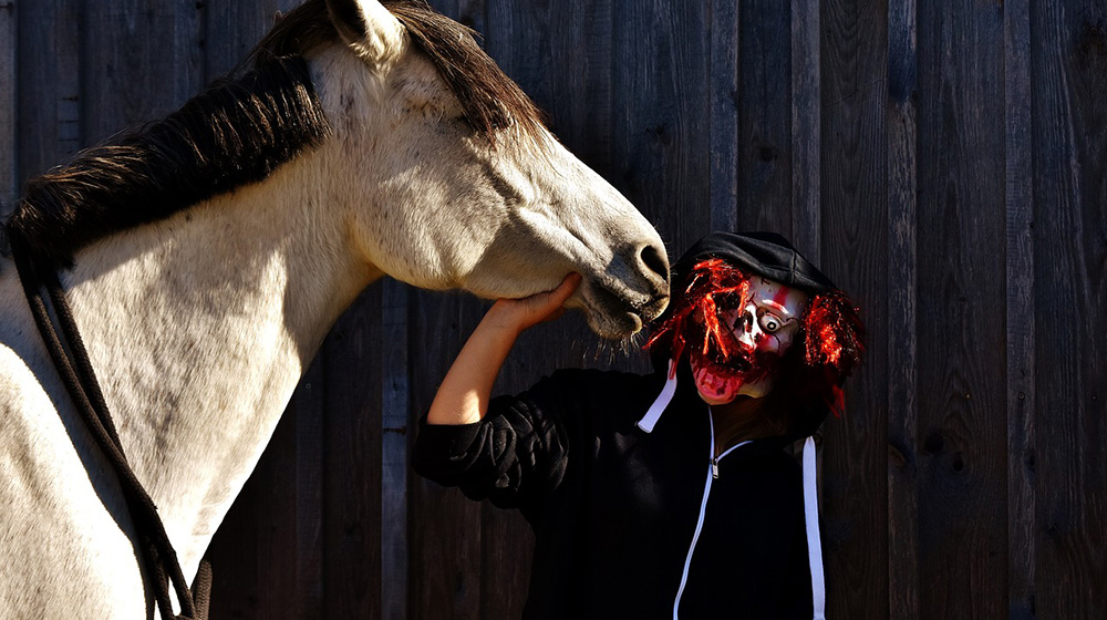 10 spooky Halloween “costumes” for your horse 