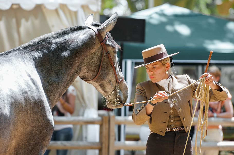 Horse Dressage: What it is and types