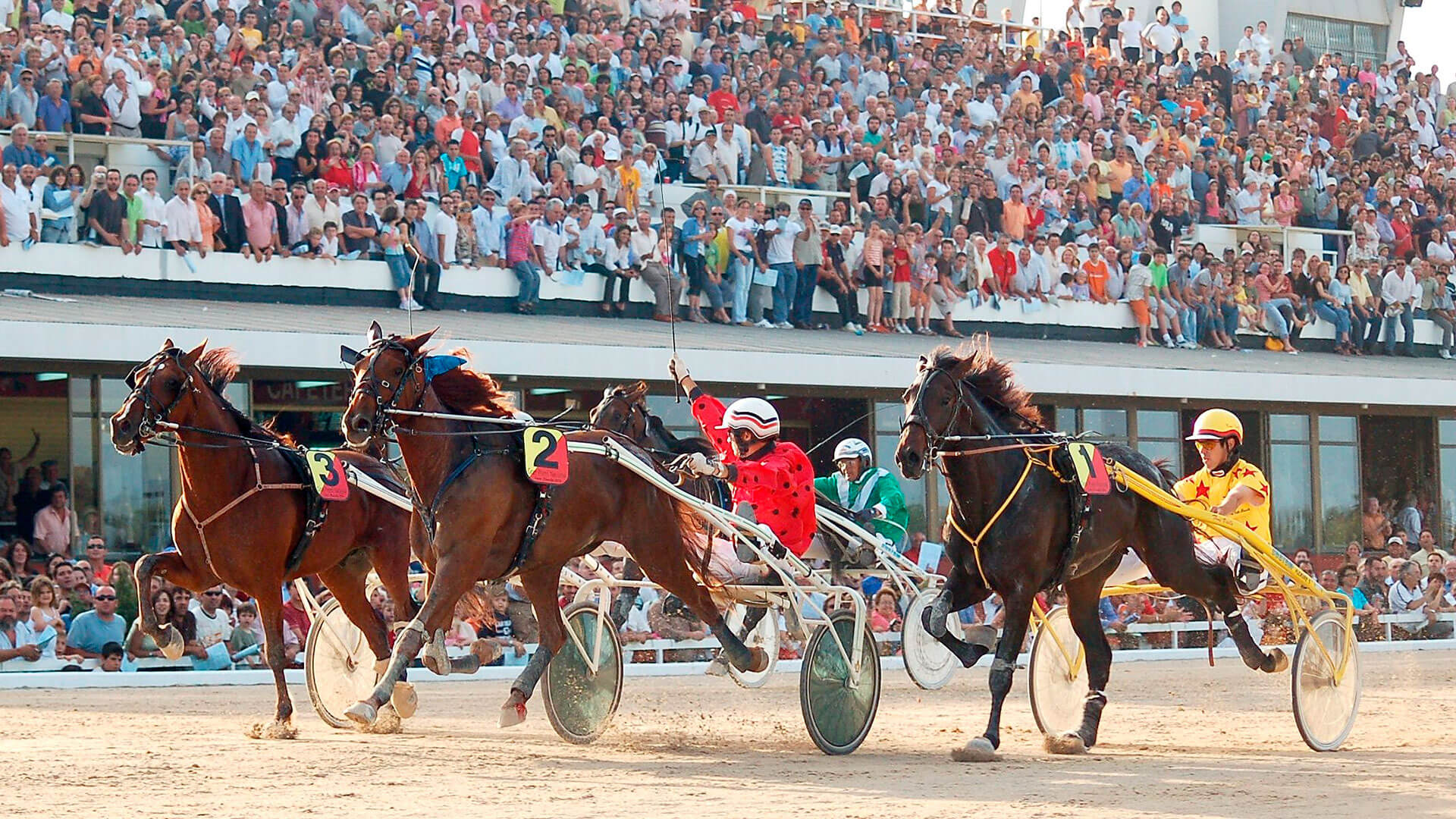 Trotting horses at the races