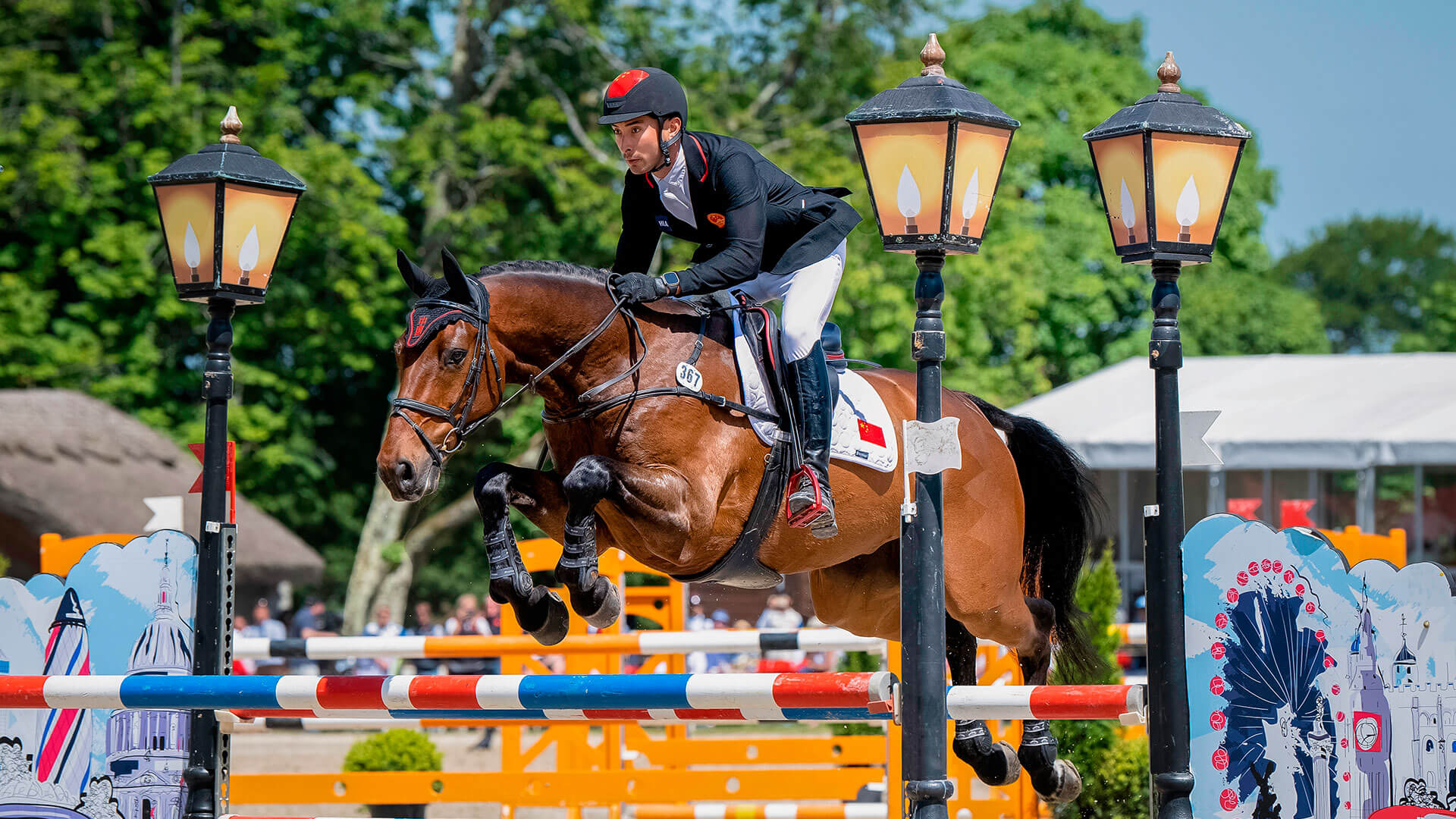 Horse jumping or equestrian: discipline and techniques