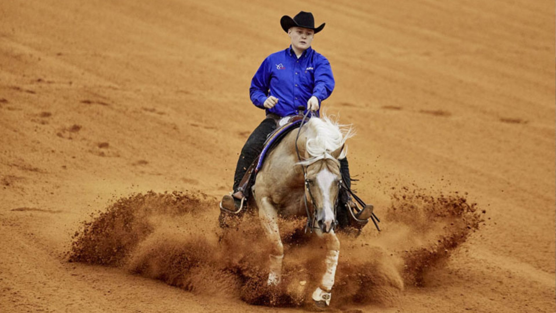 Reining, the discipline that comes from the western