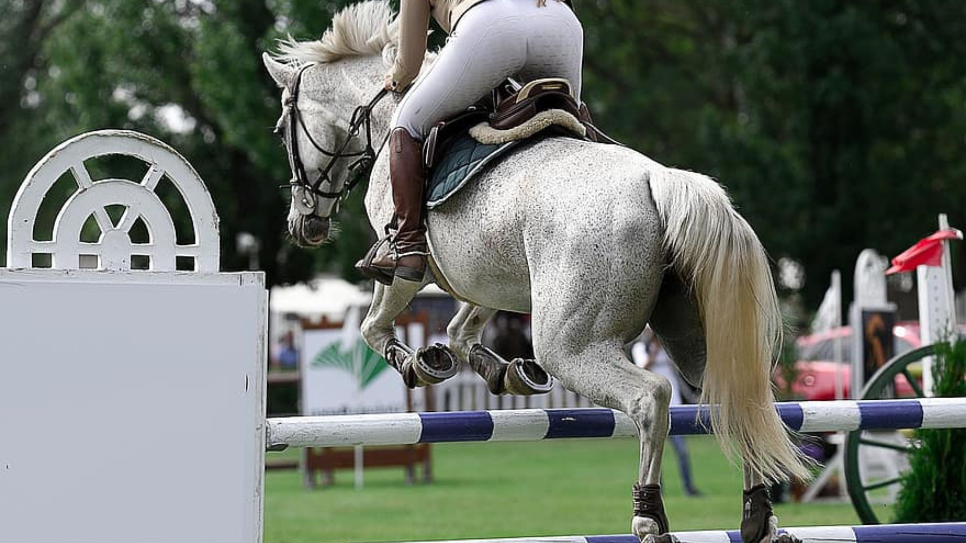Working Equitation. What is it?