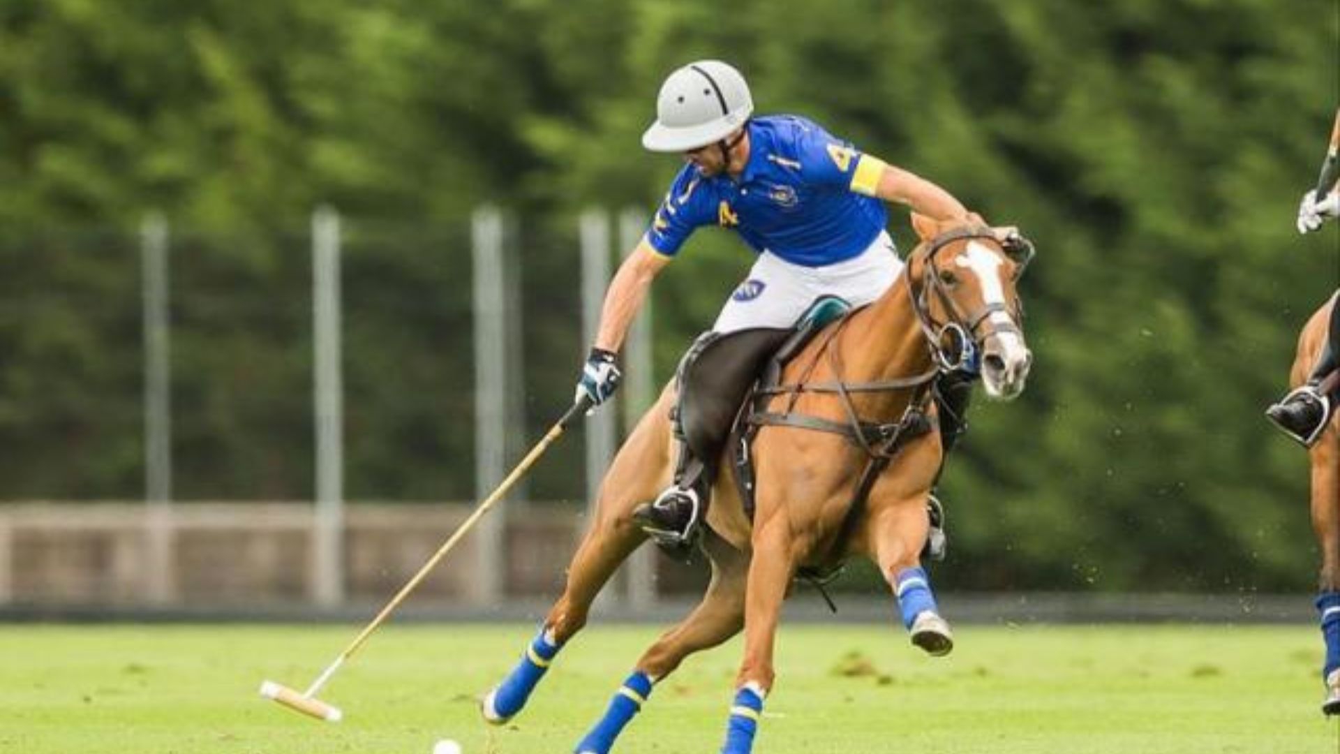 Los mejores jugadores de polo de la historia 