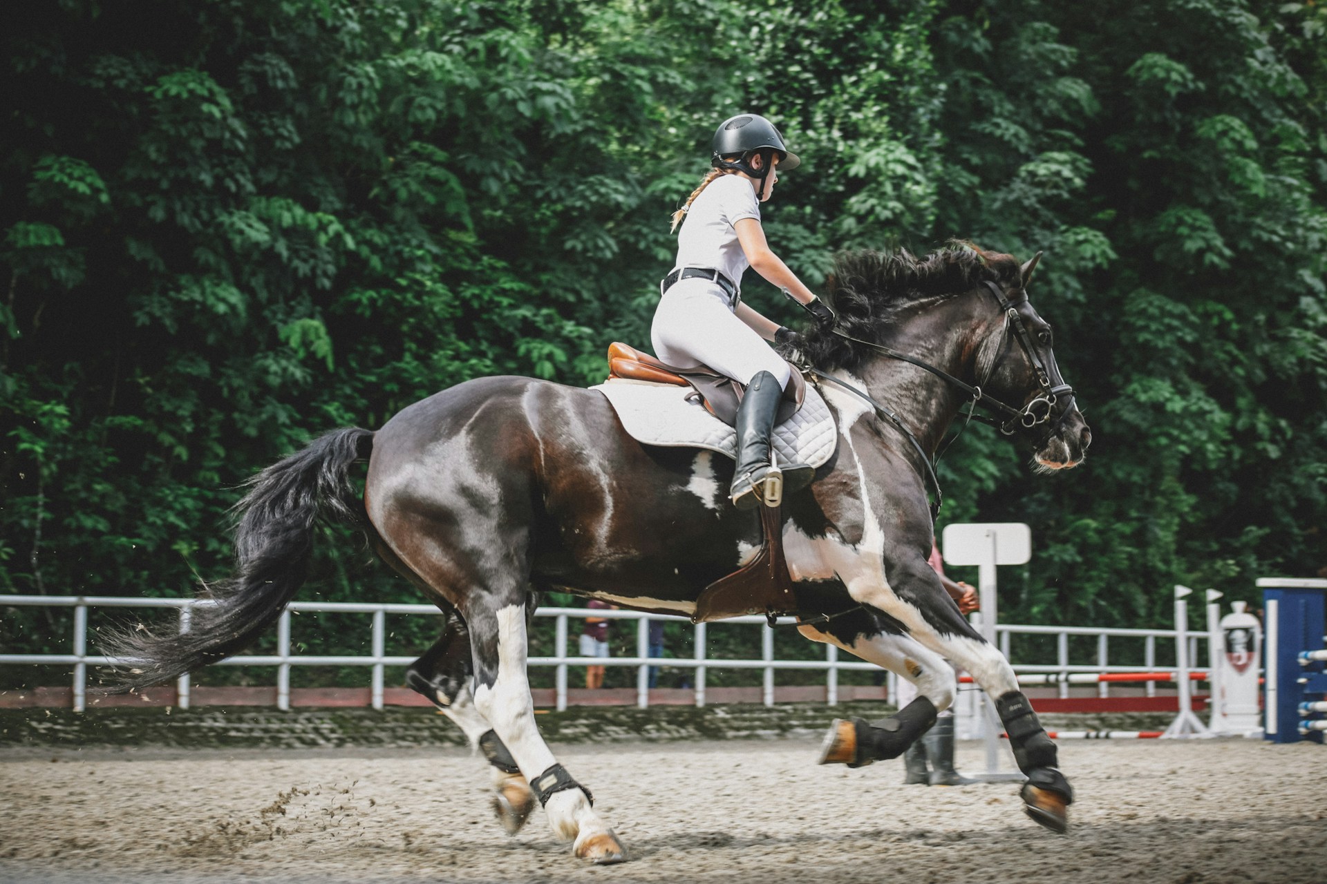 Equine physical therapy: what is it, benefits and treatments?