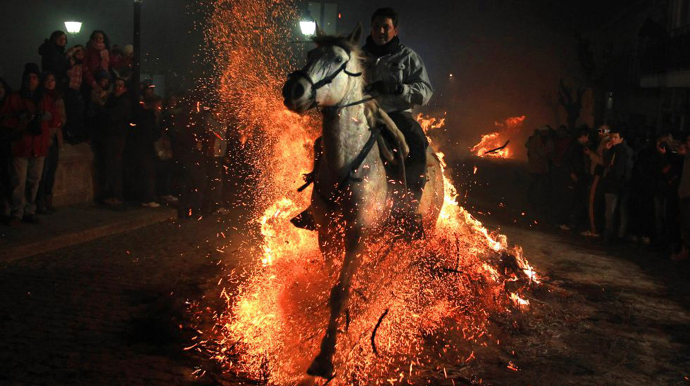 Spanish horses gallop through flames to prevent illness