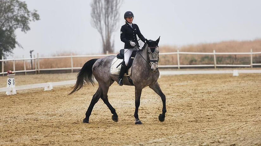 Help for the Ukrainian Equestrian Federation