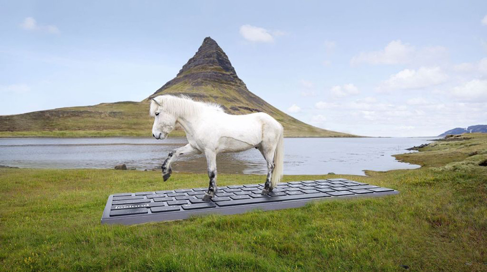 These horses will write your emails while on holidays