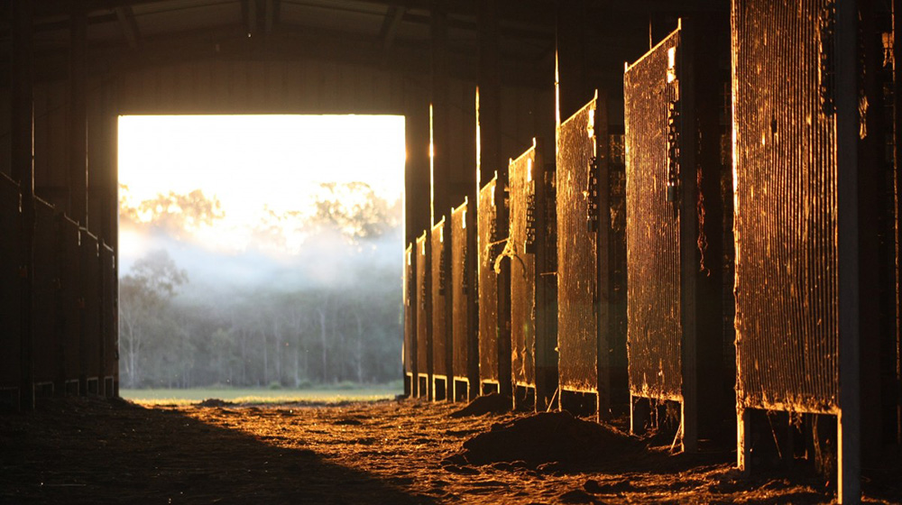 Tips to become eco-friendly at your barn this summer