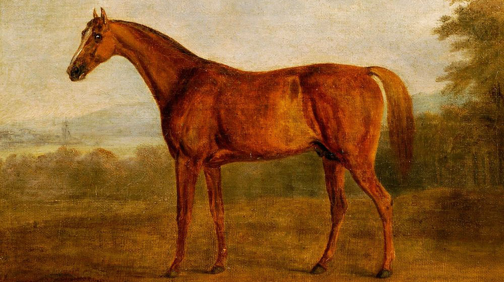 The rise and fall of Pot-8-o’s: the sire horse