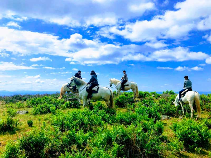 Where to go on the best horseback rides in the world?
