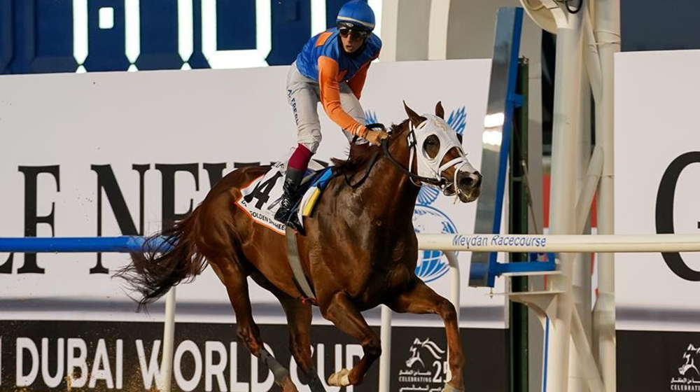 Tragedy at the Dubai World Cup Undercard races