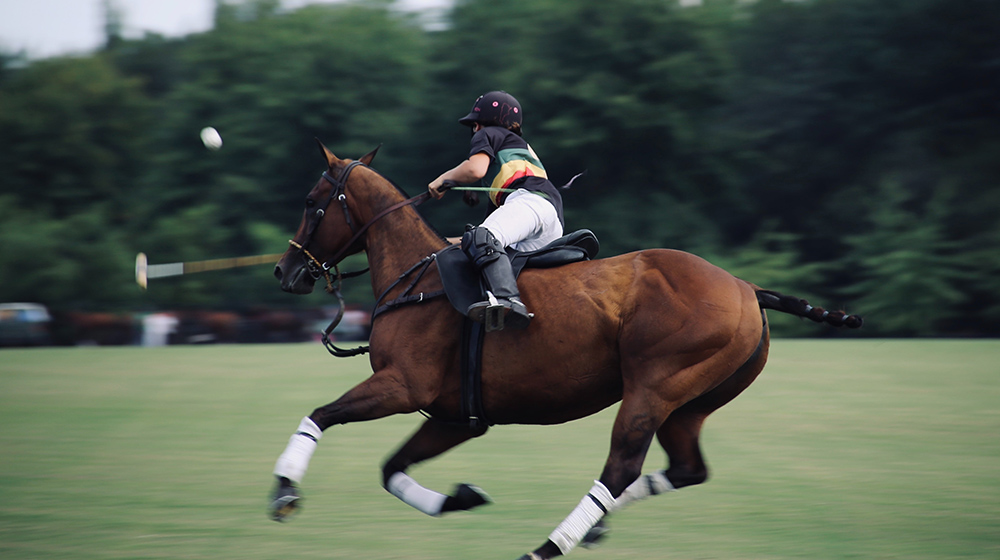 Why Polo isn’t an Olympic Sport anymore