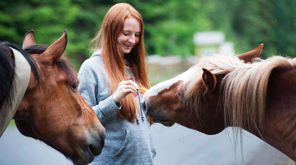 Horses relax around humans they know